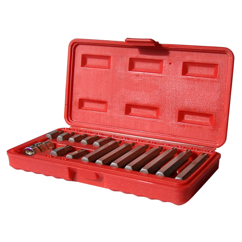 JUEGO 15 PUNTAS TORX T20 A T55